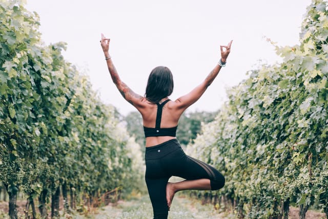 The 4 Best Excuses to Quit Your New Year’s Resolution