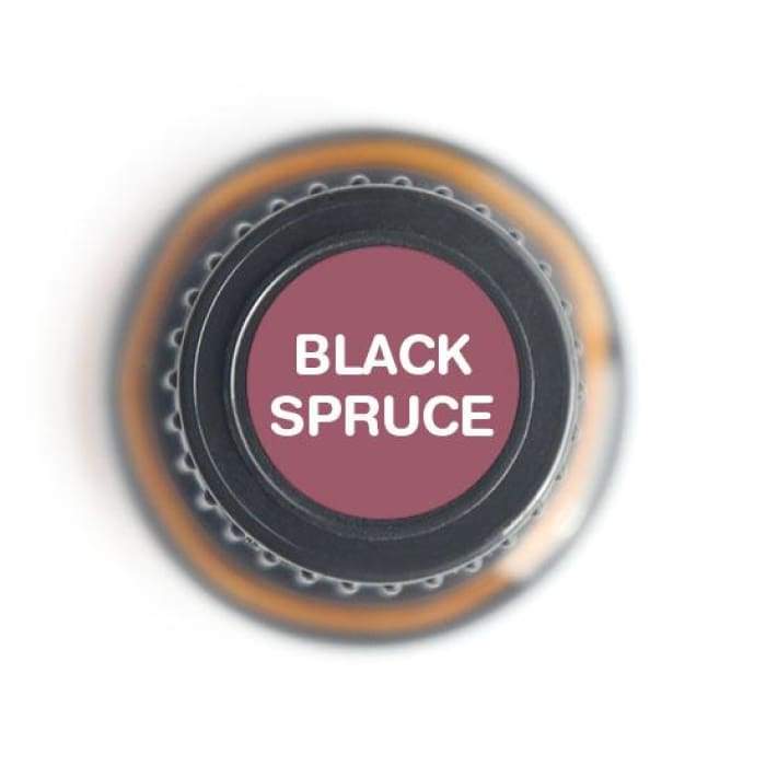 Black Spruce Pure Essential Oil - 15ml - Essential Oil Bottle