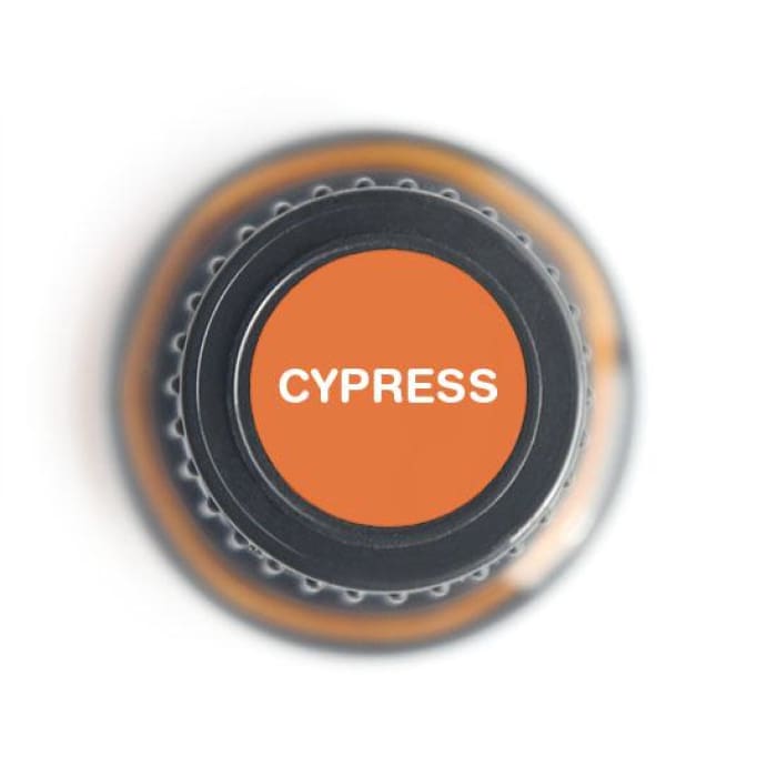 Cypress Pure Essential Oil - 15ml - Essential Oil Bottle