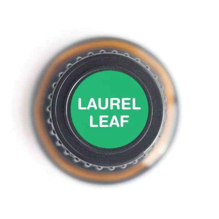 Laurel Leaf Pure Essential Oil - 15ml - Essential Oil Bottle